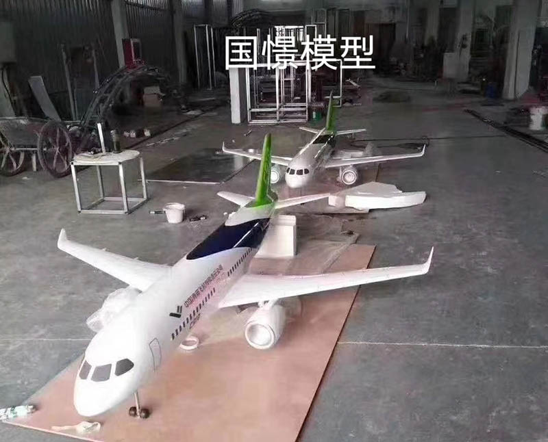 嘉鱼县飞机模型