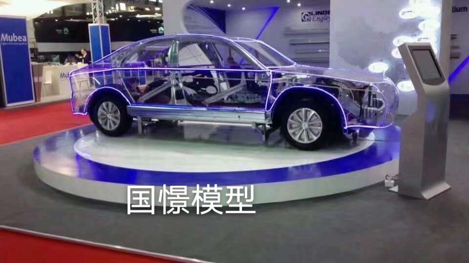 嘉鱼县透明车模型